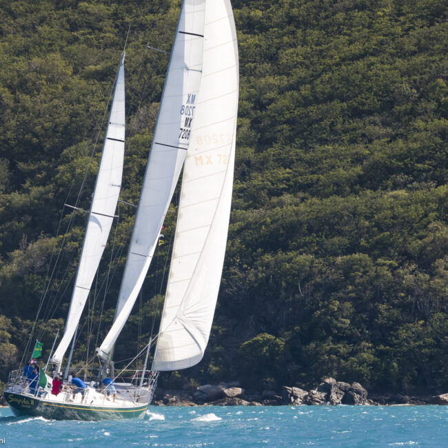 SAYULA II, Model: Swan 65, Sail n: MEX 7208, Owner: Enrique Carlin